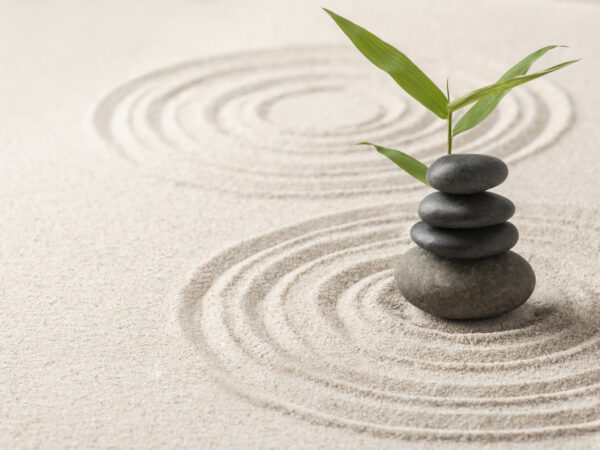 Wellness: O Que É, Por Que É Importante e Como Viver Esse Estilo de Vida