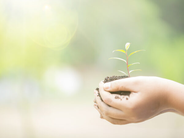 Recomeços: Quando o Silêncio Vira Semente