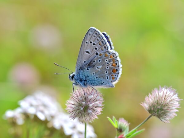 A pressa que rouba os pequenos momentos
