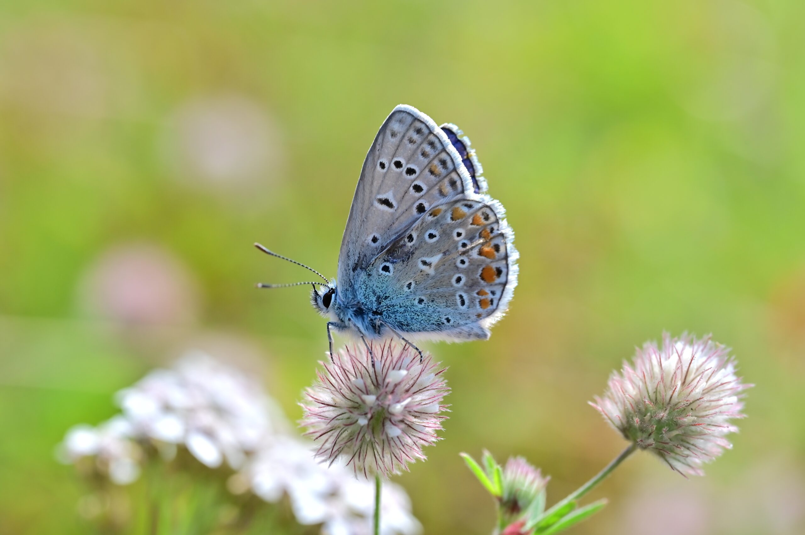 A pressa que rouba os pequenos momentos